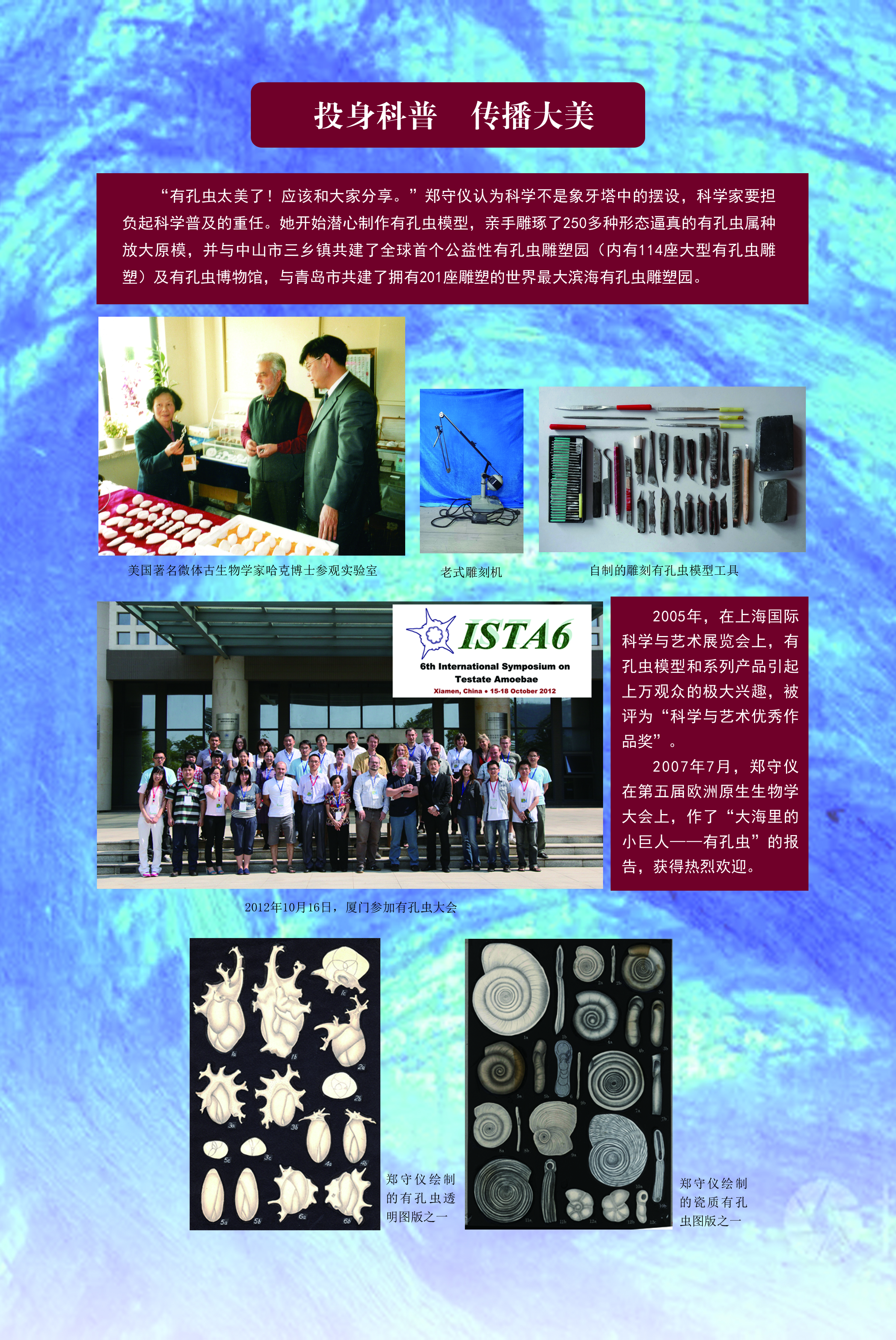 bv伟德国际体育官方网站