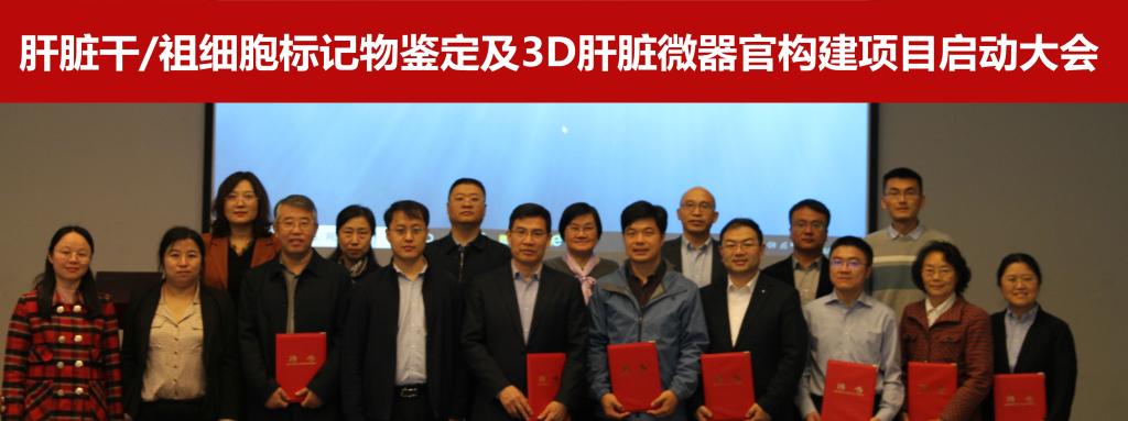 bv伟德国际体育官方网站