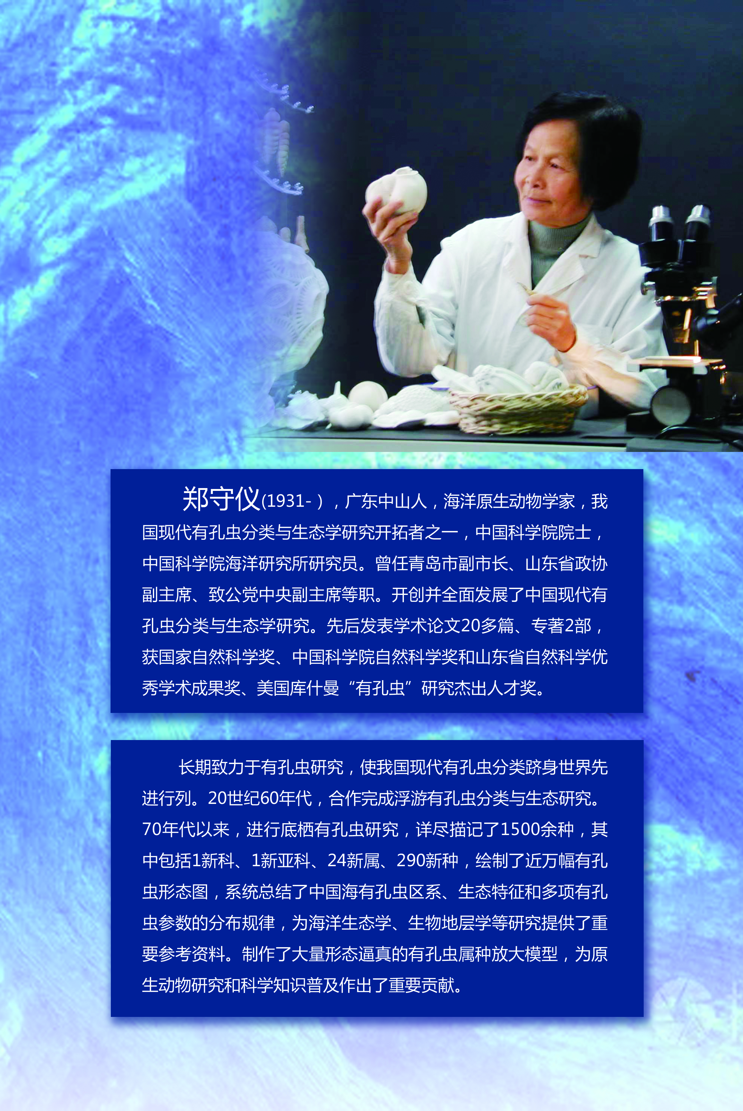 bv伟德国际体育官方网站