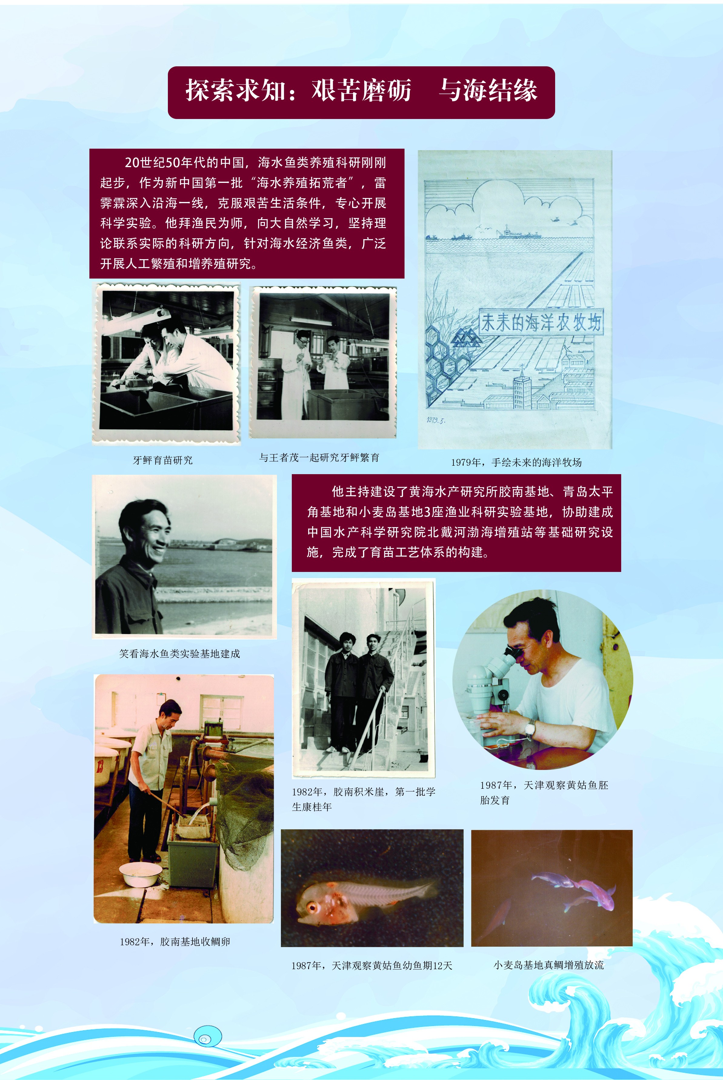 bv伟德国际体育官方网站