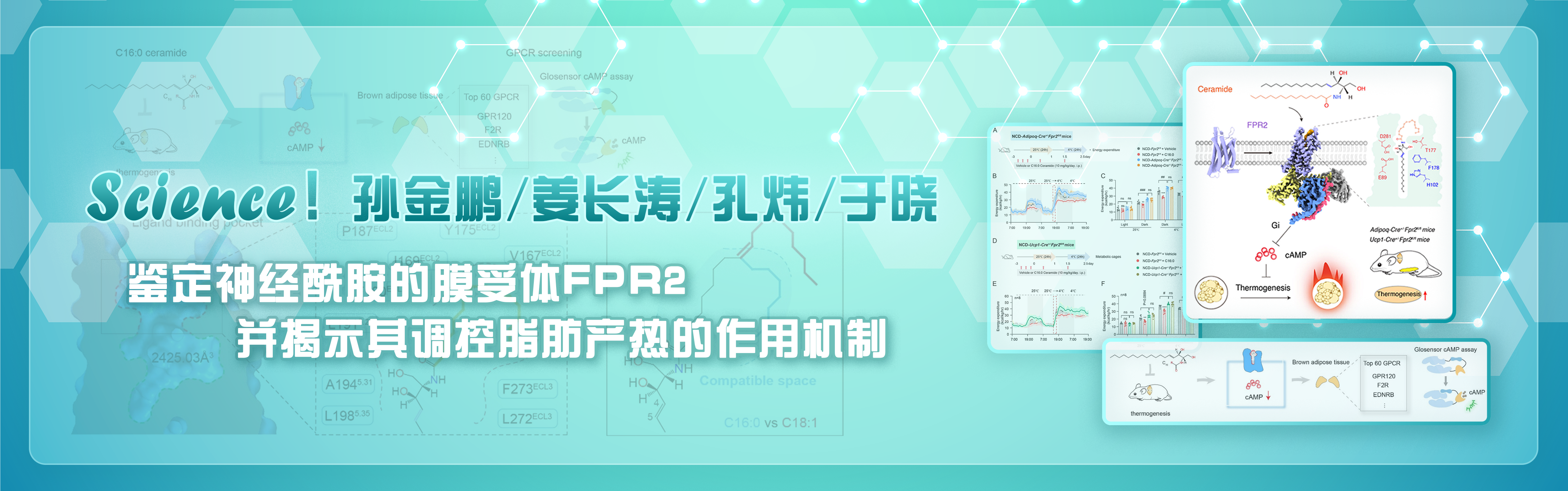 bv伟德国际体育官方网站